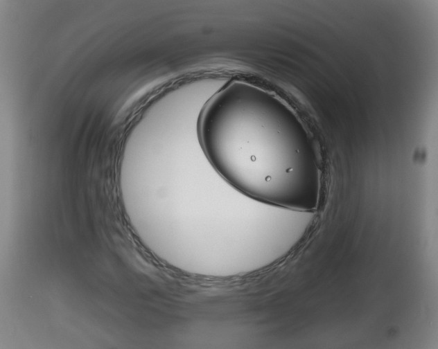 X0000112811112200908281501