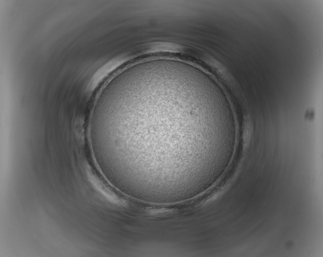X0000112811113200908281501
