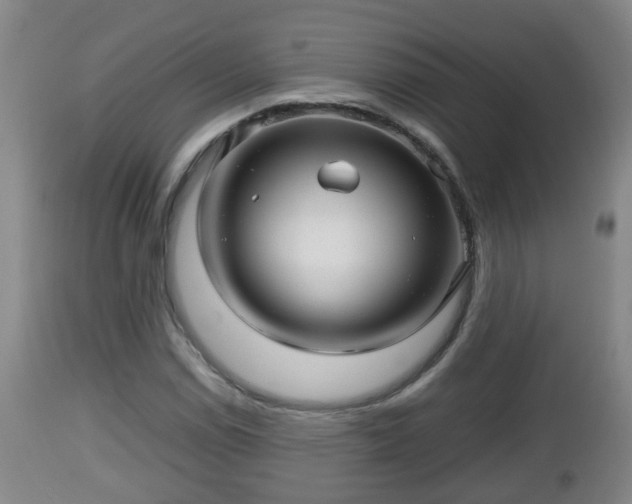 X0000112811114200908281501