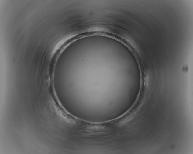 X0000112811117200908281501