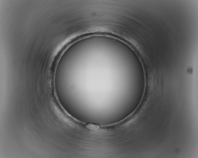 X0000112811118200908281501