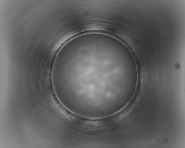 X0000112811121200908281501