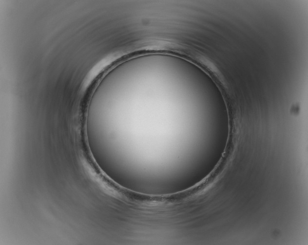 X0000112811122200908281501