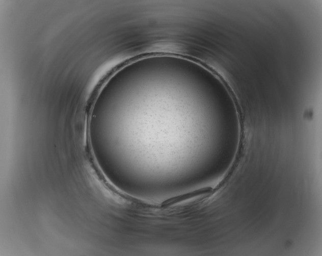 X0000112811123200908281501