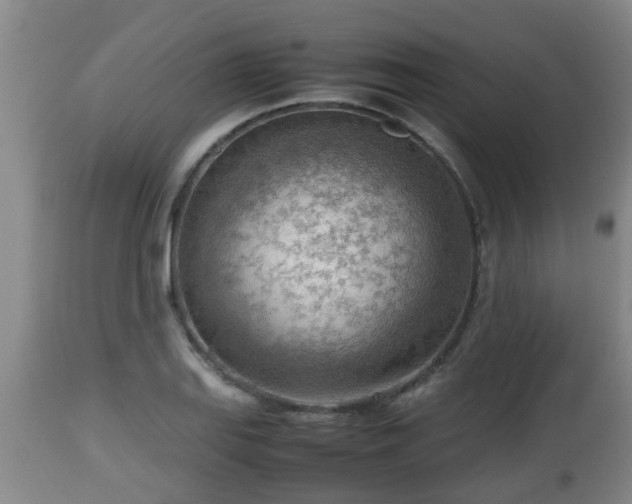 X0000112811127200908281501