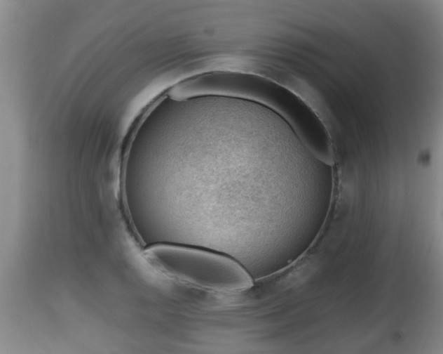X0000112811128200908281501