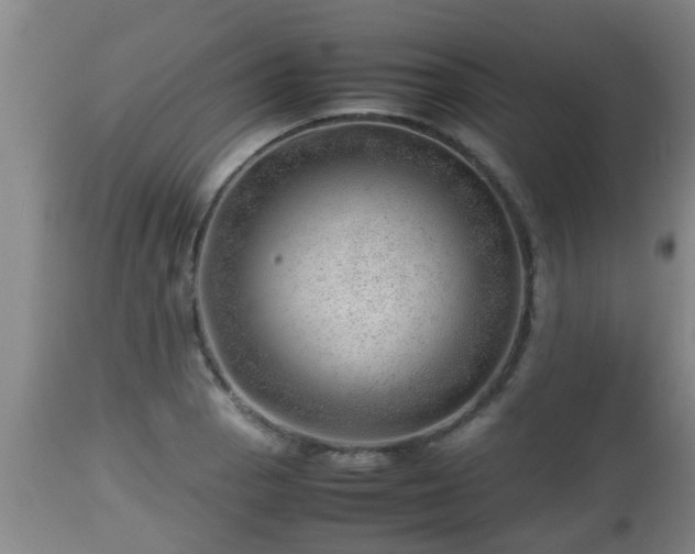X0000112811129200908281501