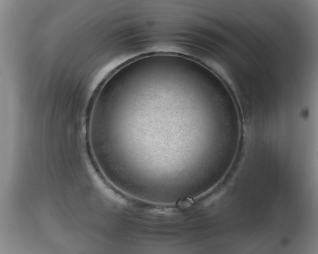 X0000112811133200908281501