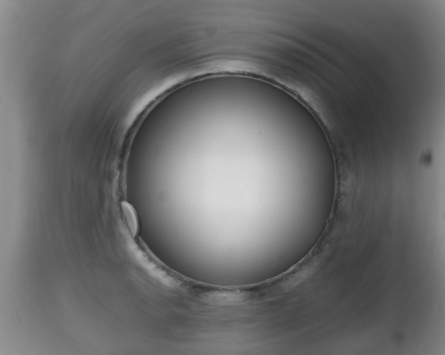 X0000112811134200908281501