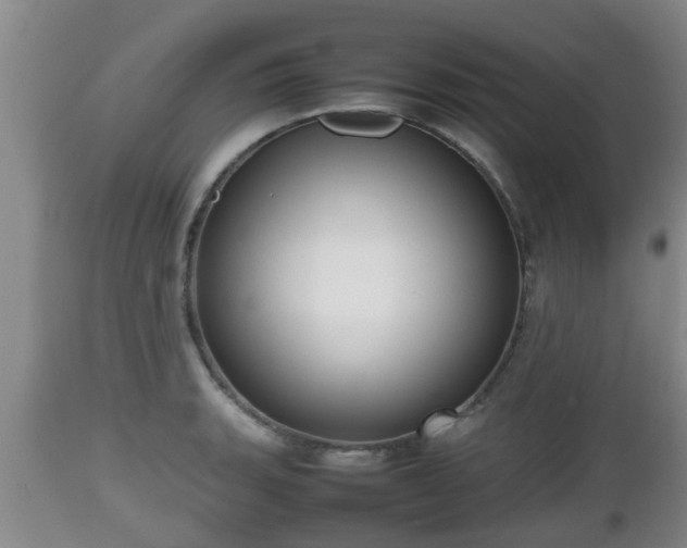 X0000112811135200908281501