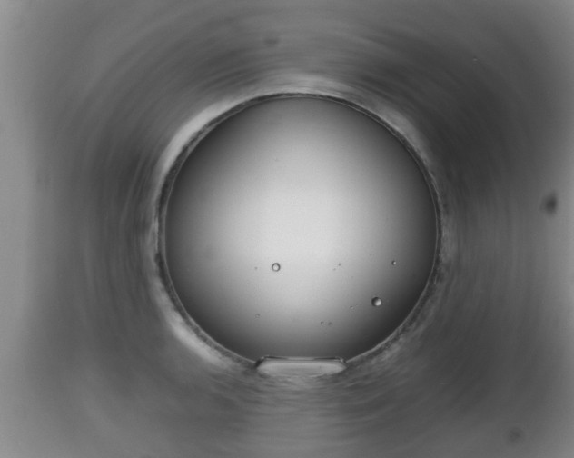 X0000112811136200908281501