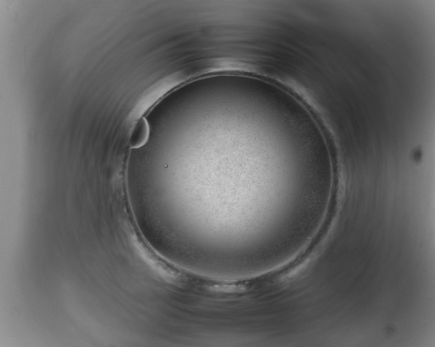 X0000112811137200908281501