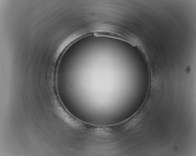 X0000112811138200908281501