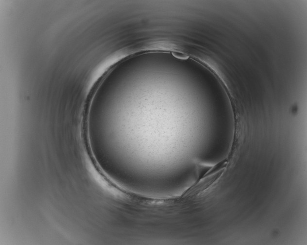 X0000112811139200908281501