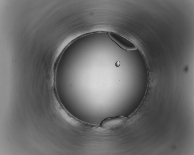 X0000112811140200908281501