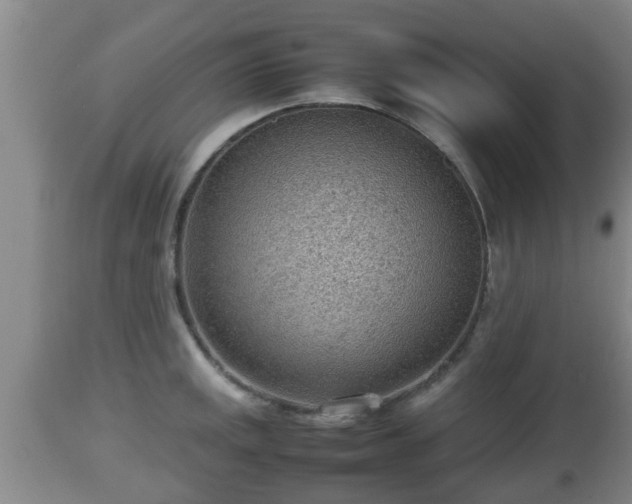 X0000112811141200908281501