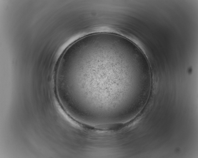 X0000112811142200908281501