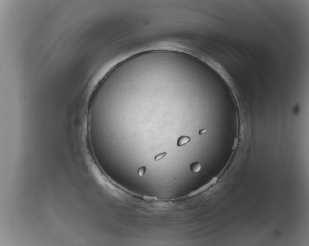 X0000112811144200908281501