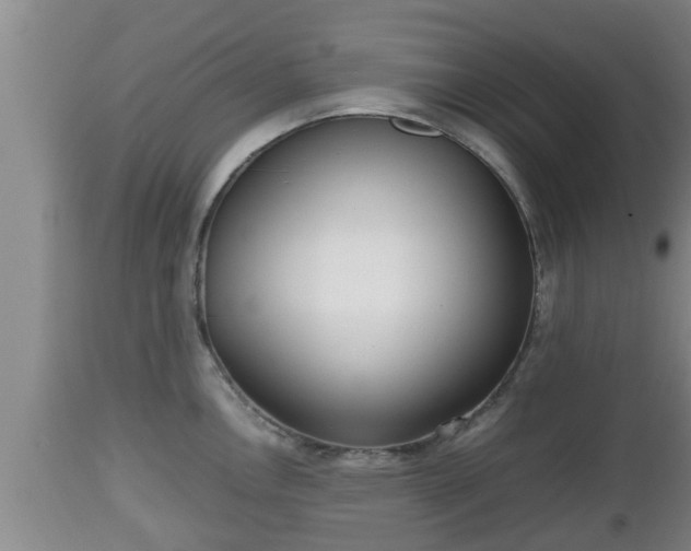 X0000112811146200908281501