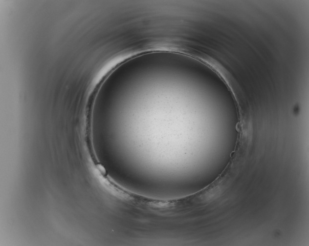 X0000112811147200908281501