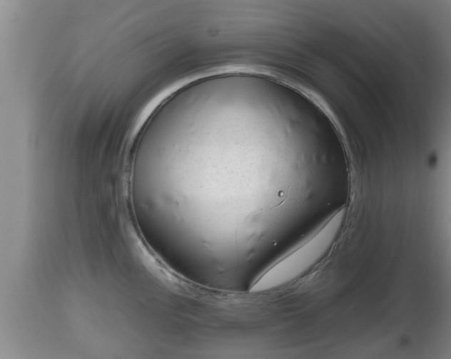 X0000112811148200908281501