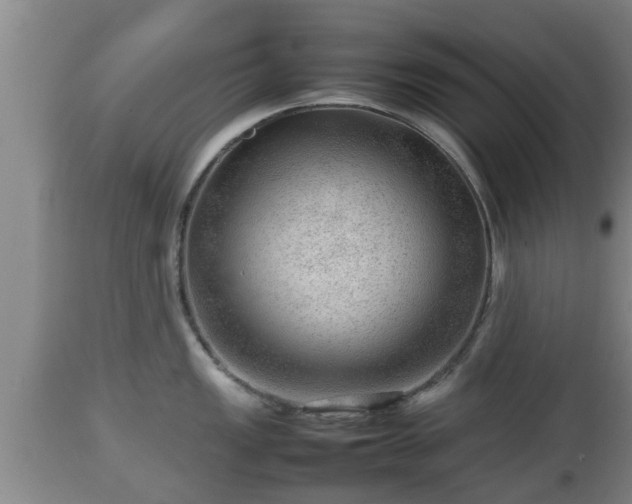 X0000112811149200908281501