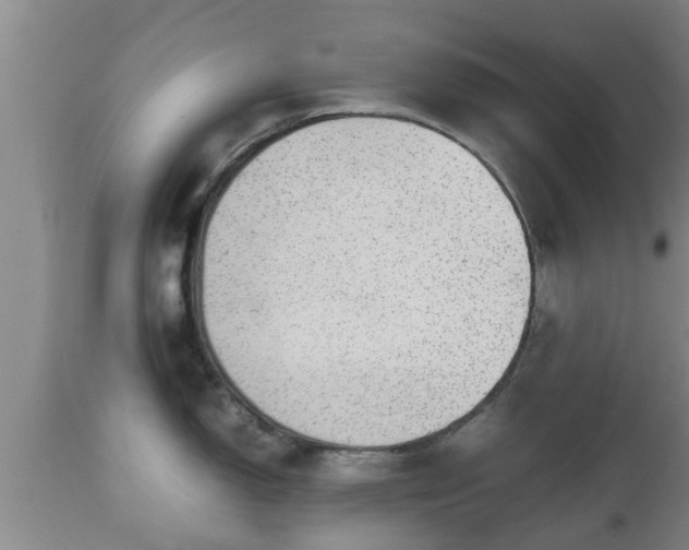 X0000112811150200908281501