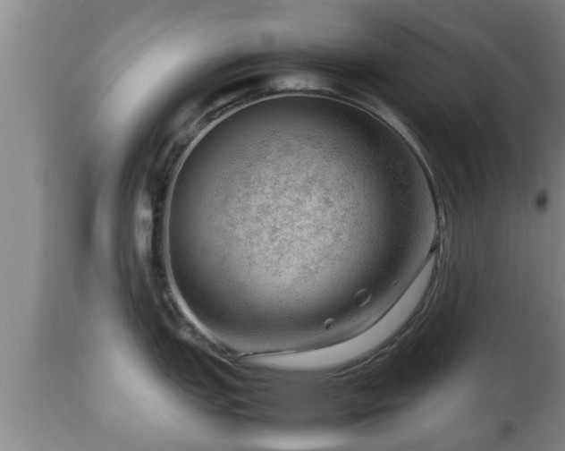 X0000112811151200908281501