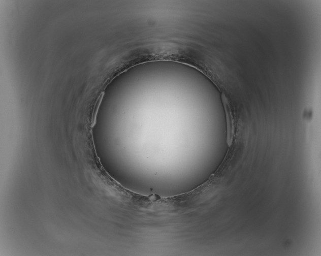 X0000112811153200908281501