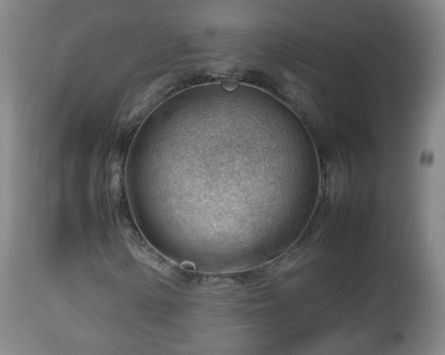 X0000112811154200908281500