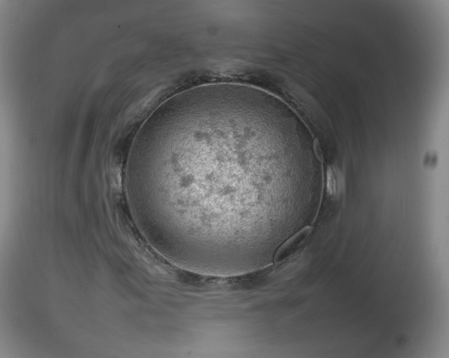 X0000112811155200908281500