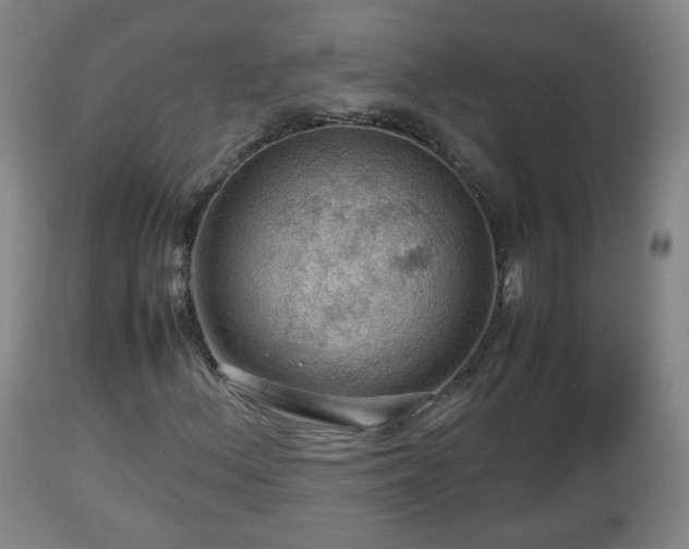 X0000112811156200908281500