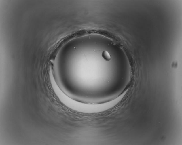 X0000112811157200908281500