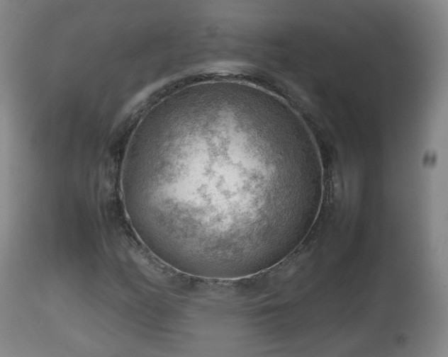 X0000112811158200908281500