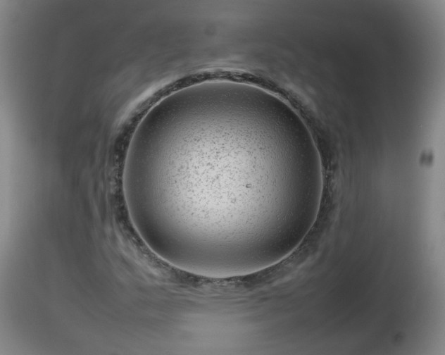 X0000112811159200908281500