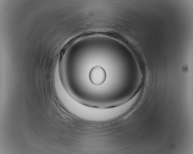 X0000112811161200908281500