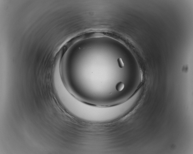 X0000112811162200908281500
