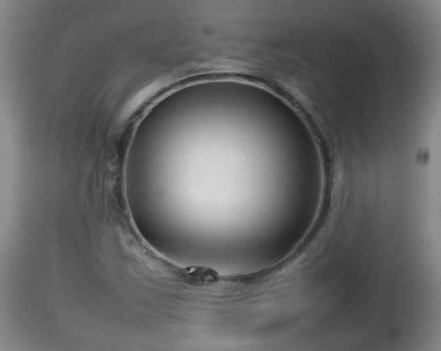 X0000112811163200908281500