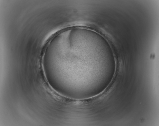 X0000112811166200908281500