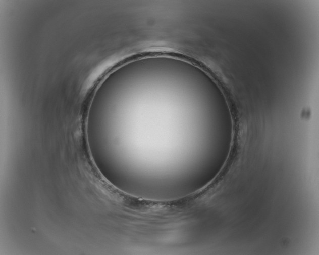 X0000112811167200908281500