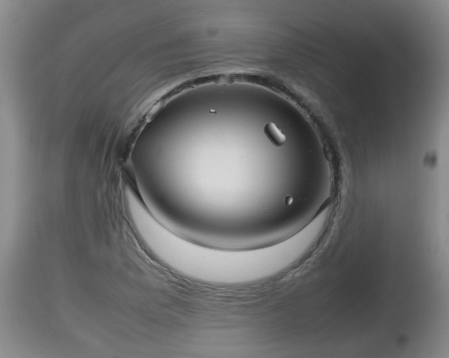 X0000112811169200908281500