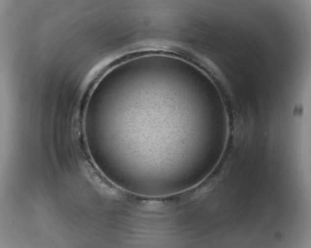 X0000112811172200908281500