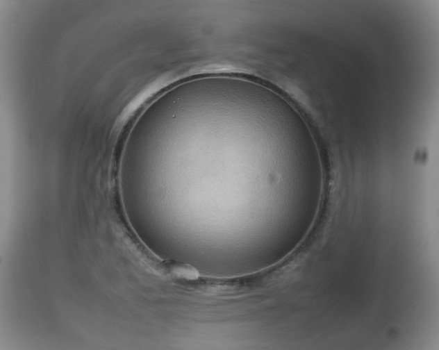 X0000112811173200908281500