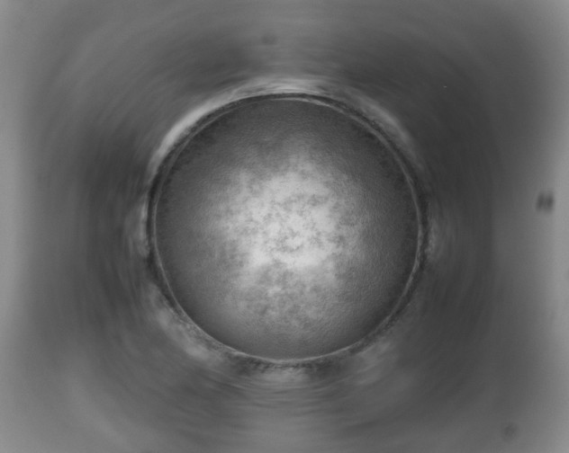 X0000112811174200908281500