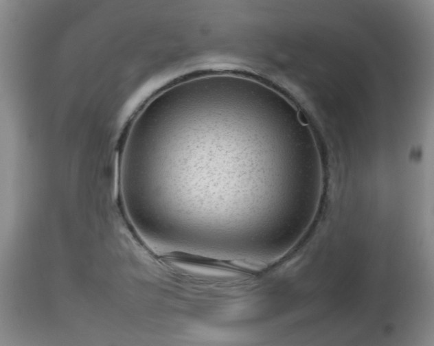 X0000112811175200908281500