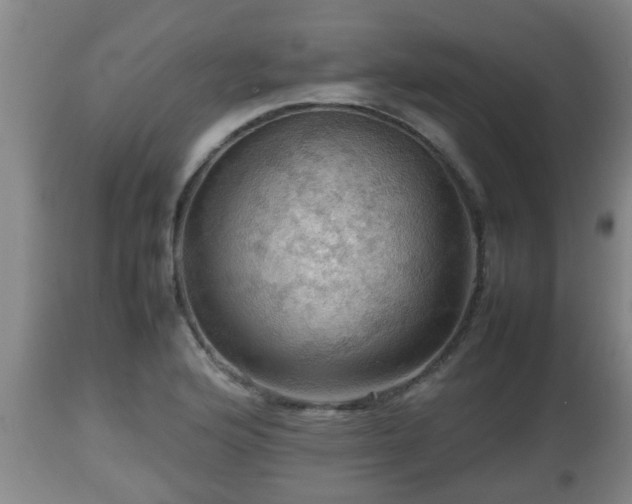 X0000112811176200908281500