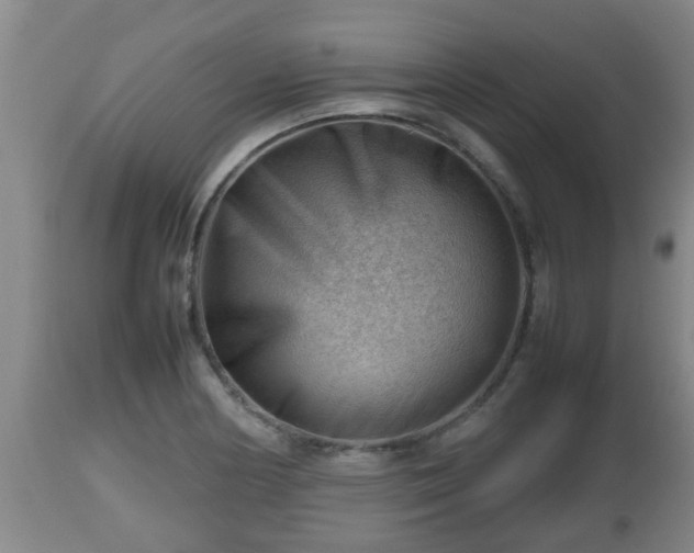 X0000112811178200908281500
