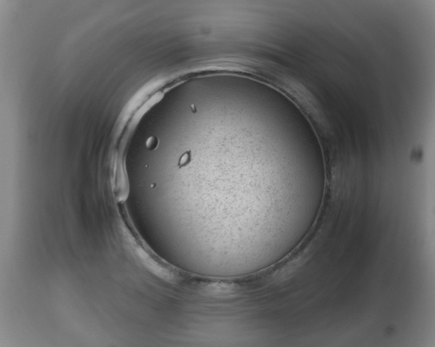 X0000112811180200908281500