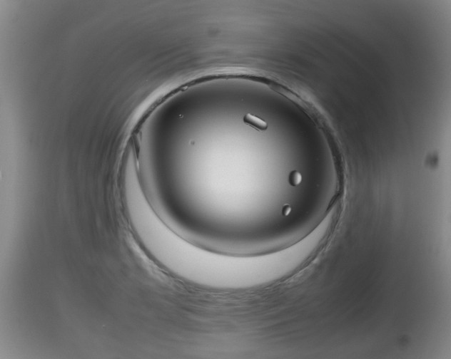 X0000112811181200908281500