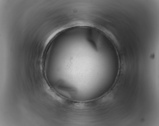 X0000112811182200908281500